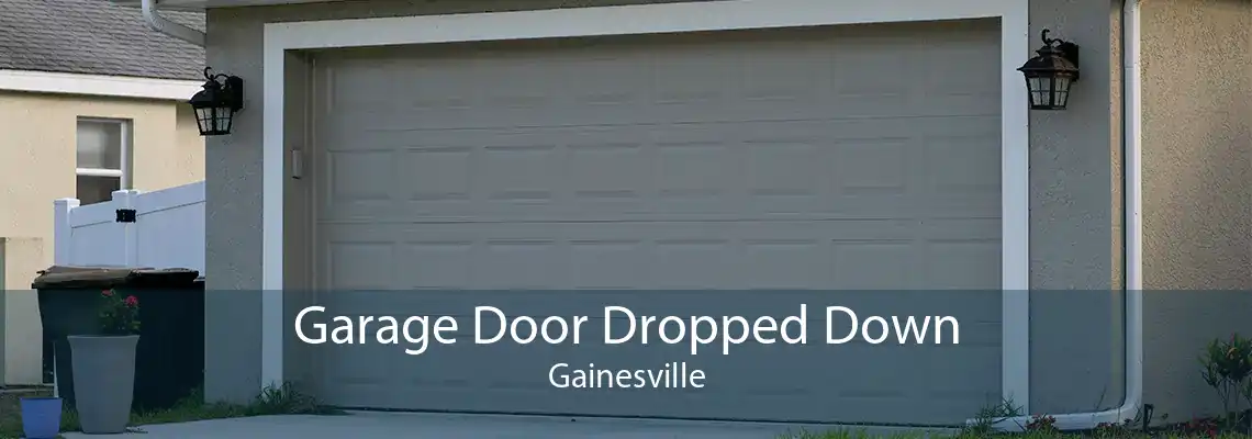 Garage Door Dropped Down Gainesville