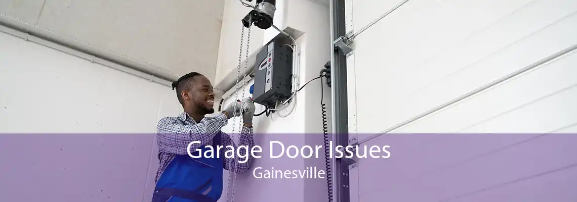 Garage Door Issues Gainesville