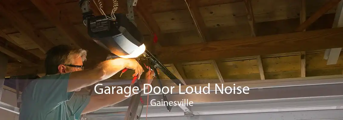 Garage Door Loud Noise Gainesville