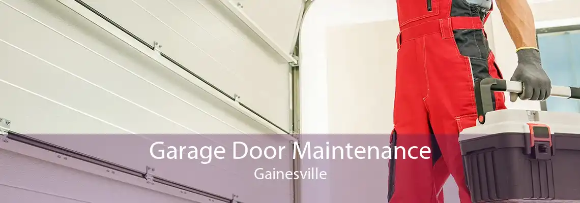 Garage Door Maintenance Gainesville