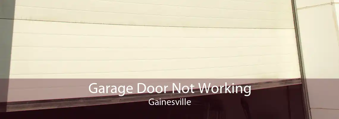 Garage Door Not Working Gainesville