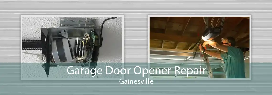 Garage Door Opener Repair Gainesville
