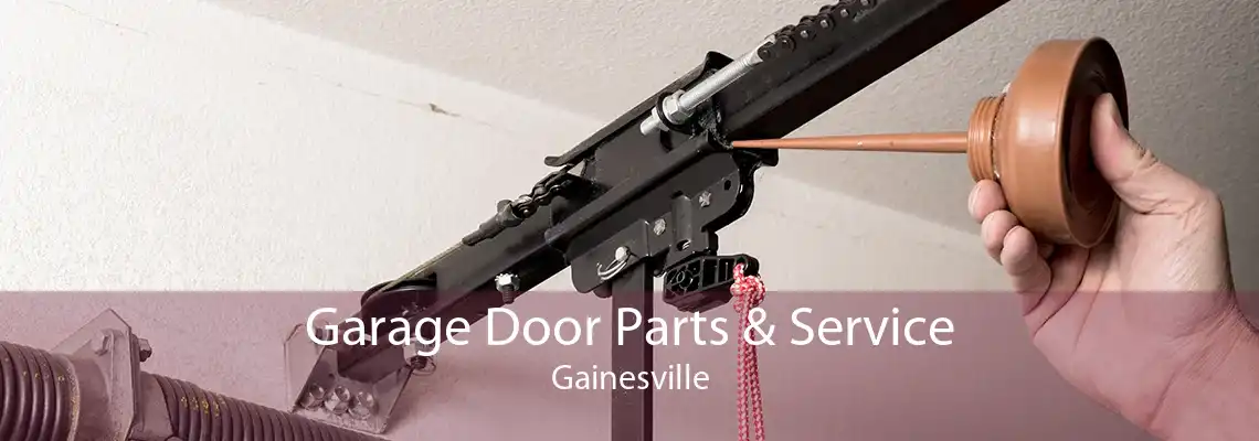 Garage Door Parts & Service Gainesville