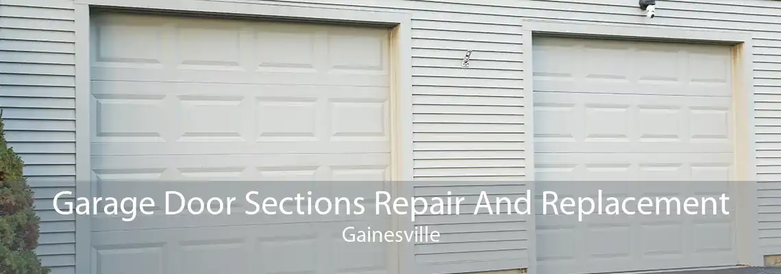 Garage Door Sections Repair And Replacement Gainesville