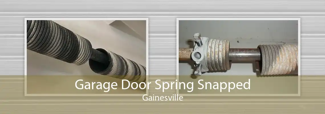 Garage Door Spring Snapped Gainesville