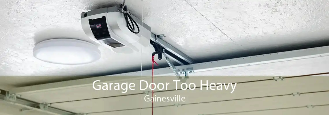 Garage Door Too Heavy Gainesville