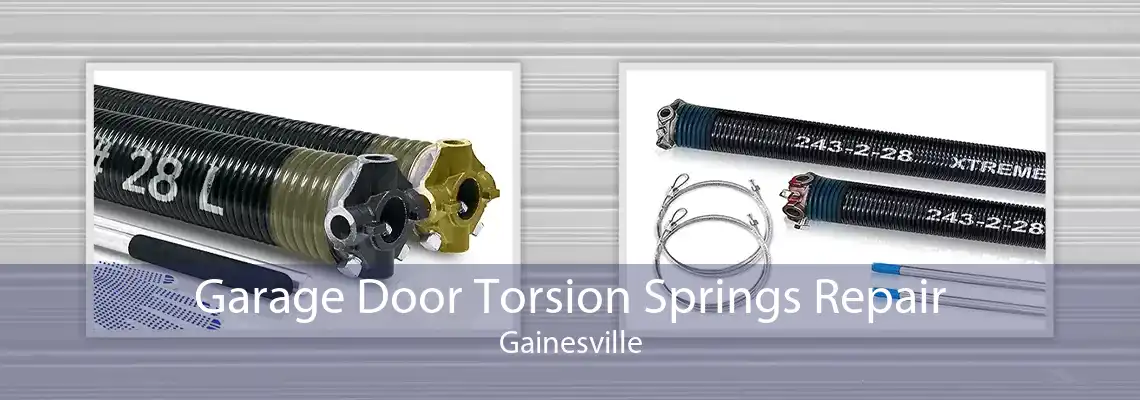 Garage Door Torsion Springs Repair Gainesville