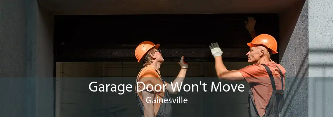Garage Door Won't Move Gainesville
