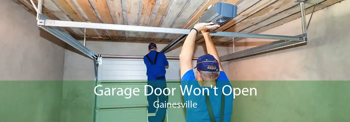 Garage Door Won't Open Gainesville