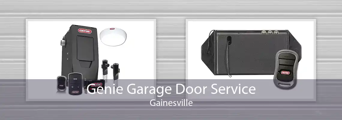 Genie Garage Door Service Gainesville