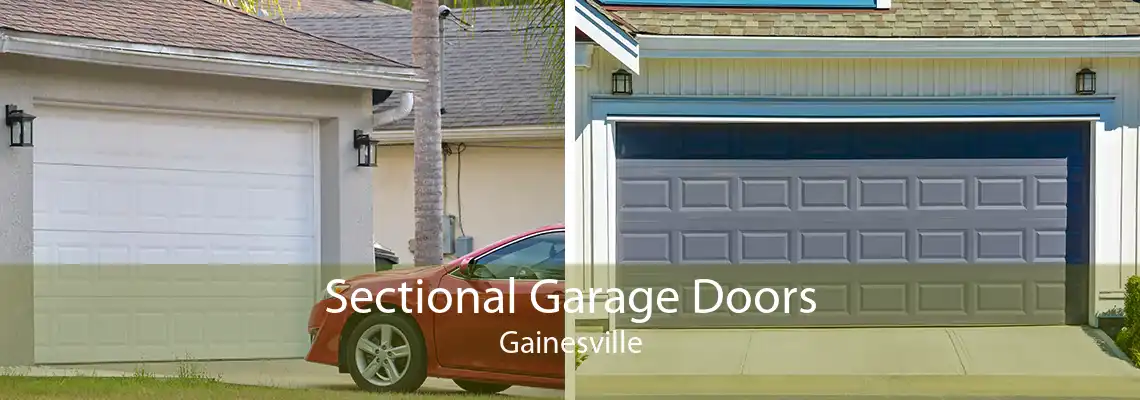 Sectional Garage Doors Gainesville